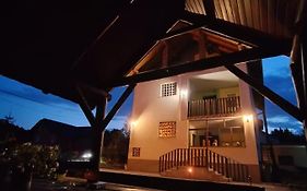 House Mesic
