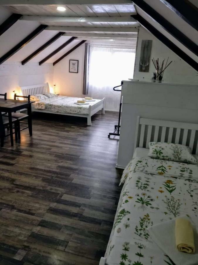 Appartement House Mesic à Smoljanac Extérieur photo